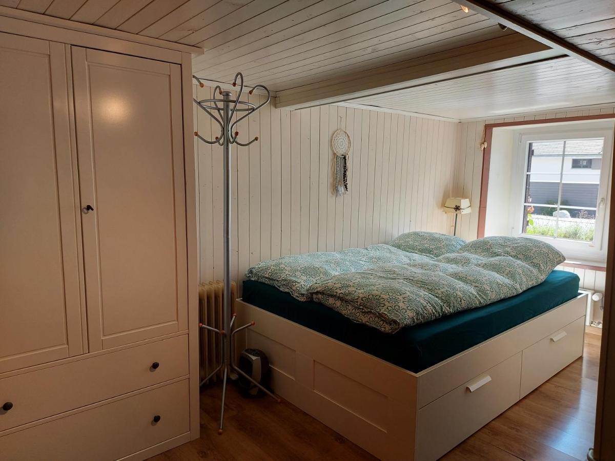 Appartement Voute En Gruyere Dans L'Intyamon Enney Exteriér fotografie