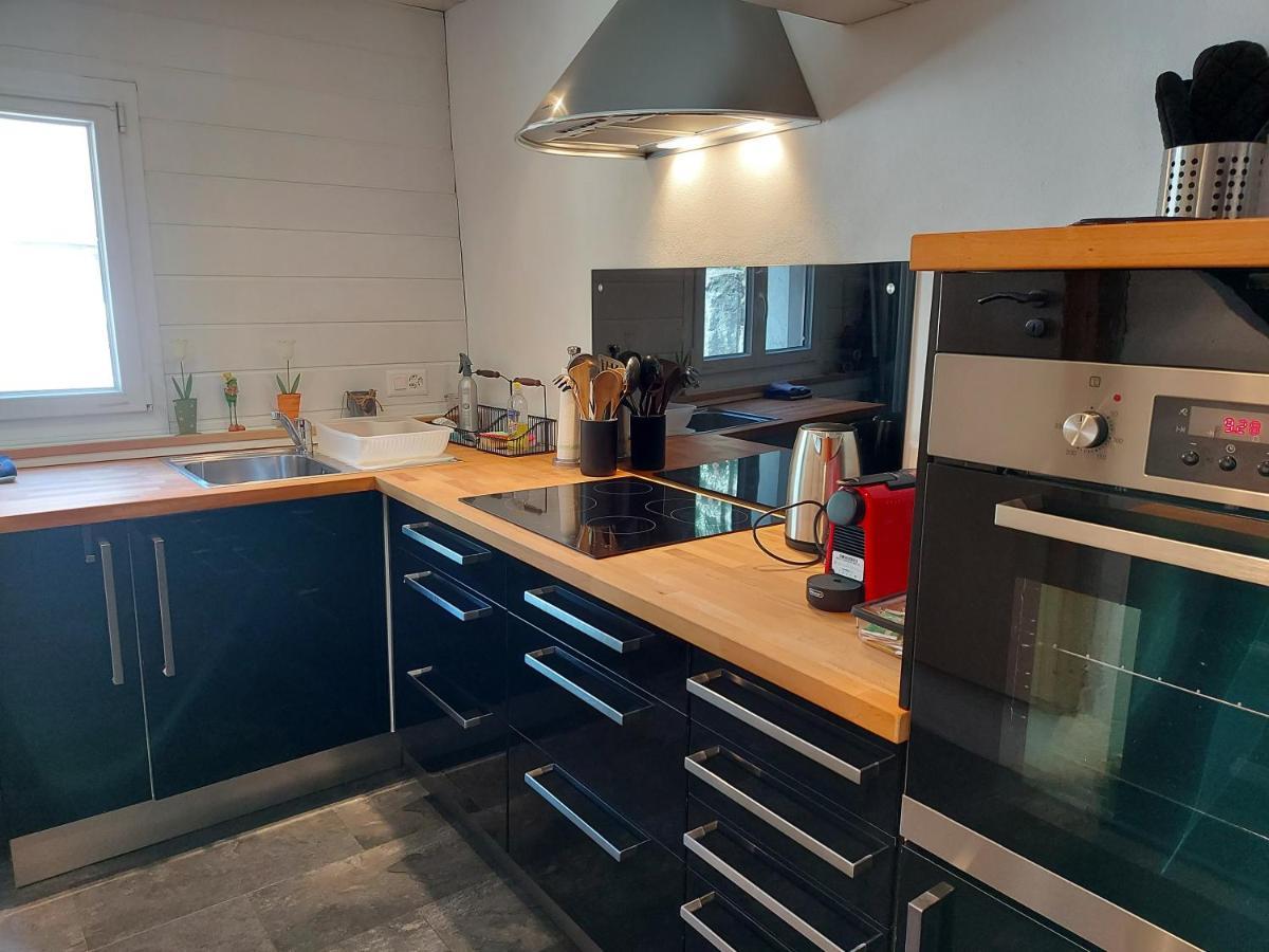 Appartement Voute En Gruyere Dans L'Intyamon Enney Exteriér fotografie